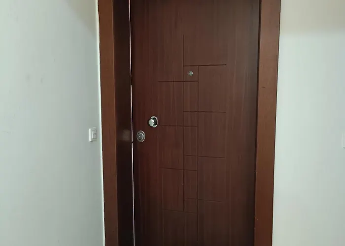 Vibe-siggrou 44 Family